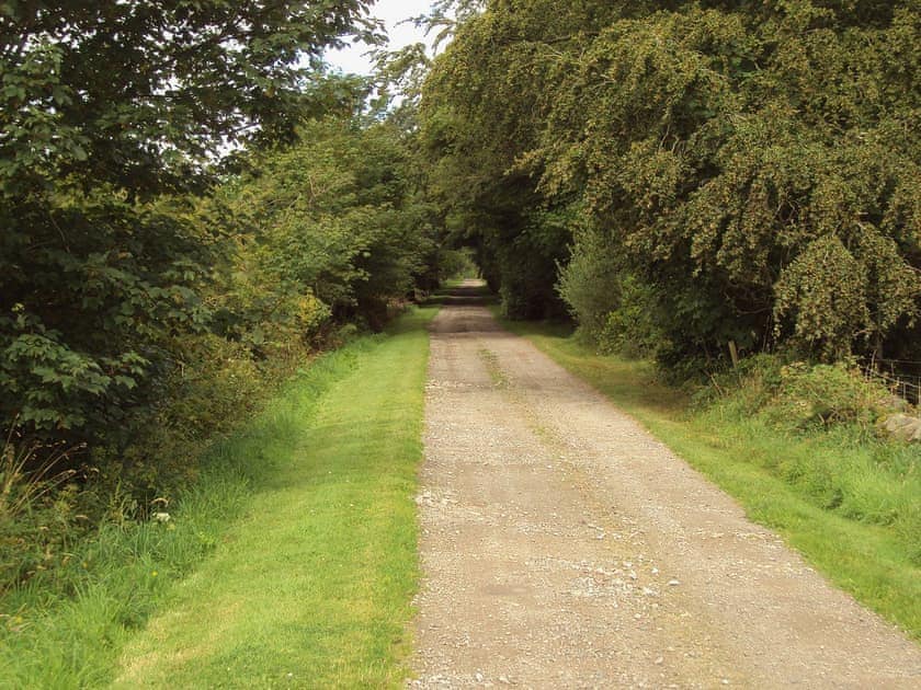 Driveway | Whitecroft - Rose Cottage, Dalbeattie