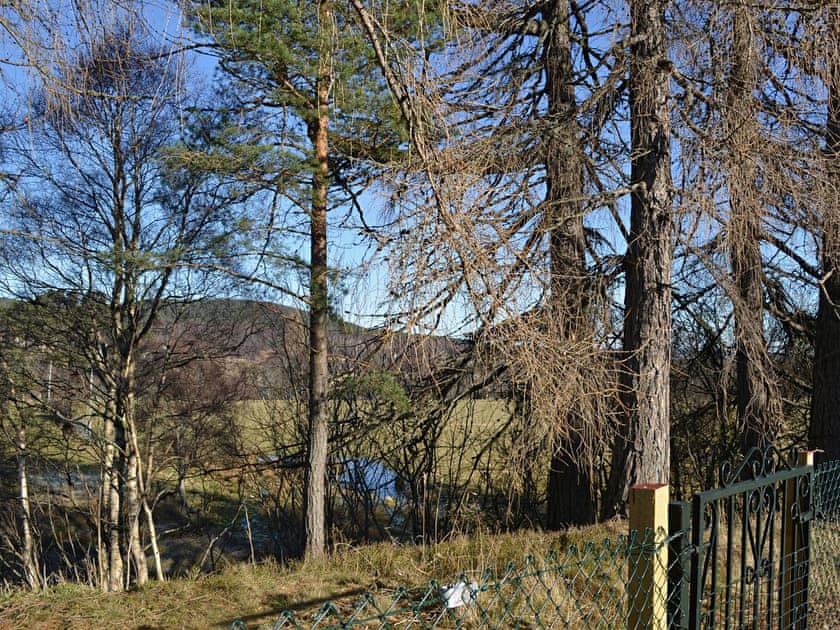 View | Tall Pines, Carrbridge