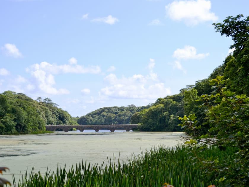 Bosheston Lilly ponds  | Granary Cottage, Bosherston
