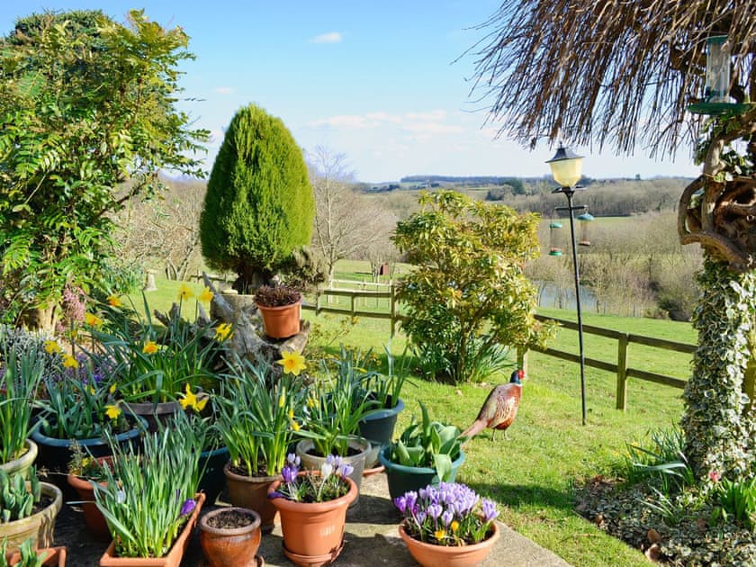 Garden | Oakwood, Cheriton Bishop, nr. Dartmoor National Park