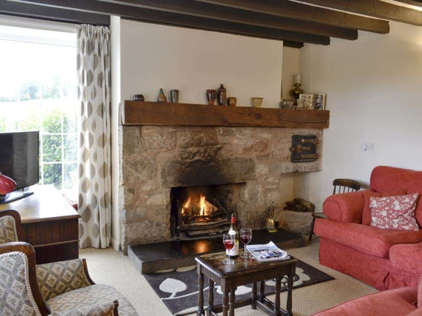 Charming living room with a real fire | Ty Newydd y Graig, Tremeirchion, near St. Asaph
