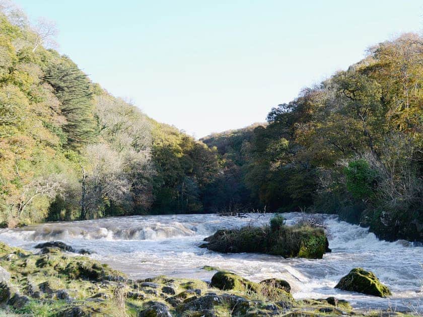 Cenarth waterfalls | Pembrokshire, Wales
