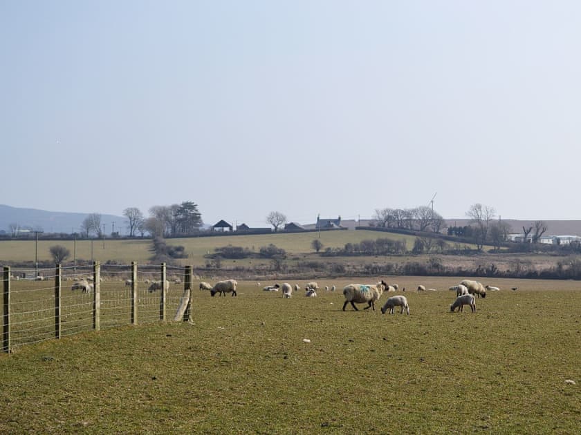 View | Bodwi Farm Cottages - Bodwi Bach, Nr. Abersoch