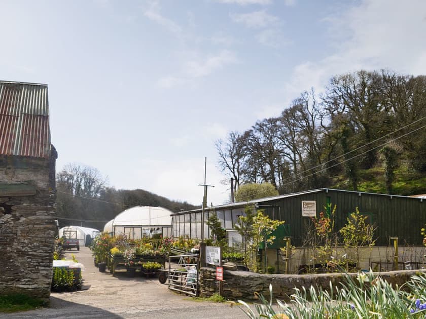on-site plant nursery | Fordbrook Cottage, Brixton Torr