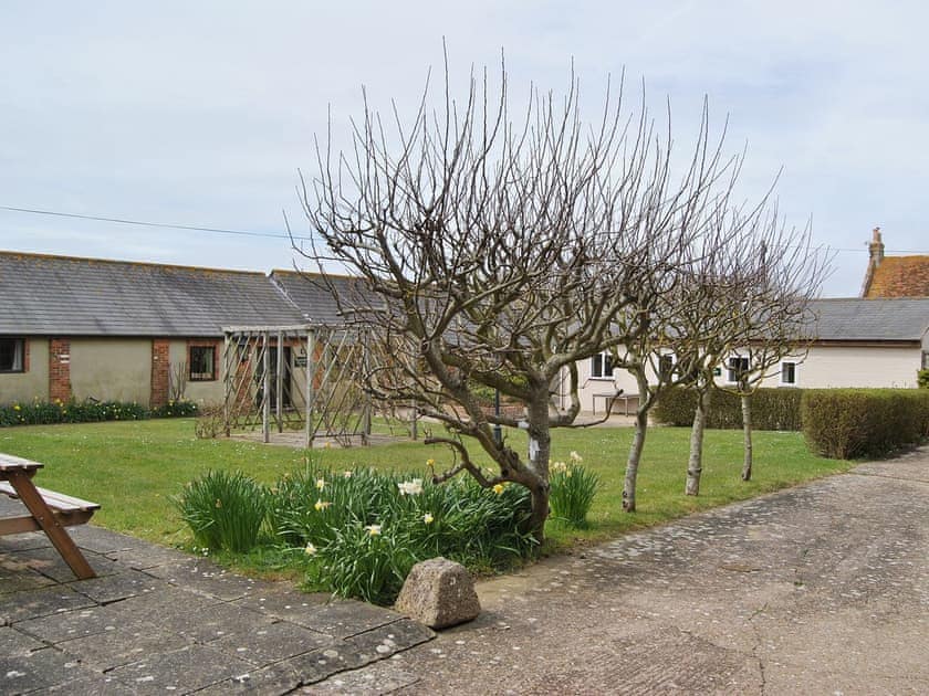 Garden and grounds | Chilton Farm - Appletree, Brighstone