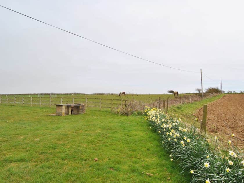 View | Chilton Farm - Appletree, Brighstone