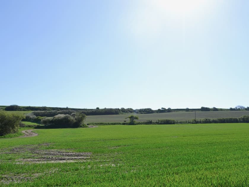 Surrounding area | Daisy’s Cottage Annexe, Niton, nr. Ventnor