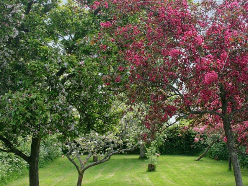 Beautiful gardens | Walkmill Lodge, Norbury, near Bishop’s Castle 