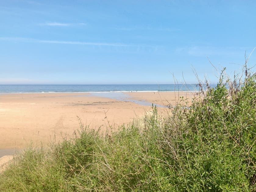 Surrounding area | Aidan, Seahouses
