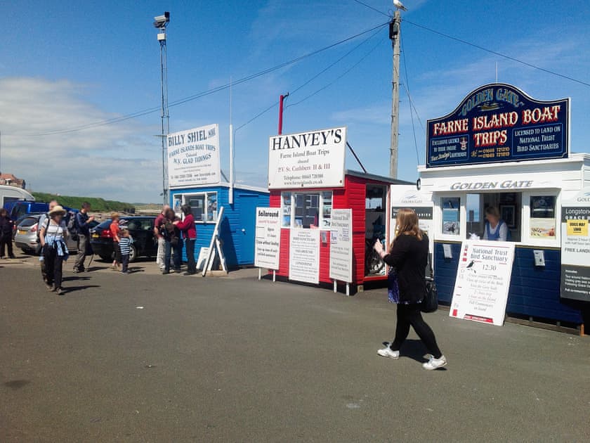 Surrounding area | Aidan, Seahouses