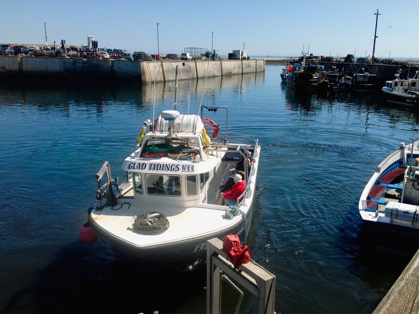 Surrounding area | Aidan, Seahouses