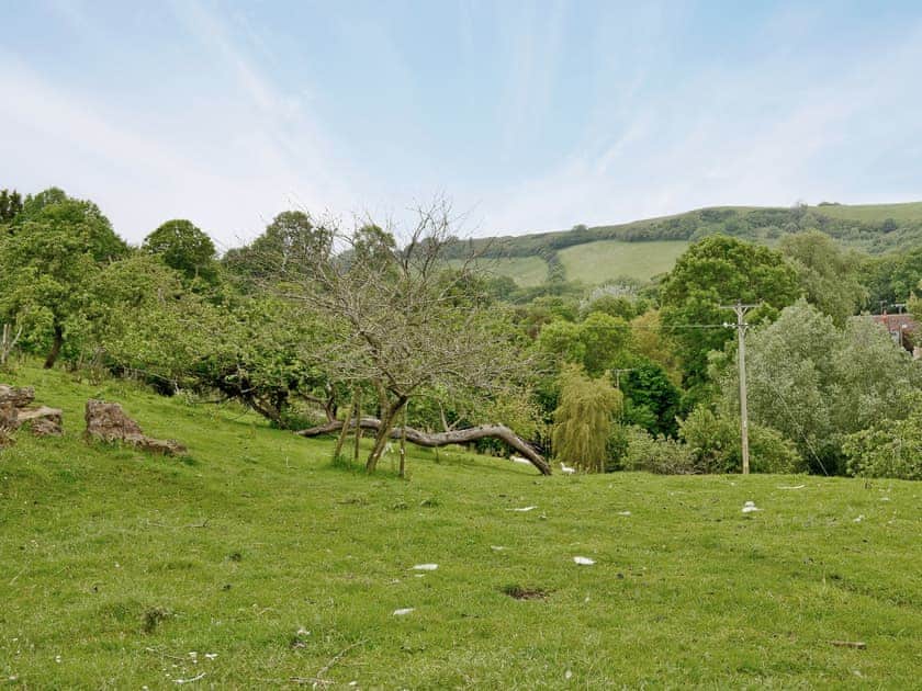 View | Blackberie Cottage, Nr. Beaminster