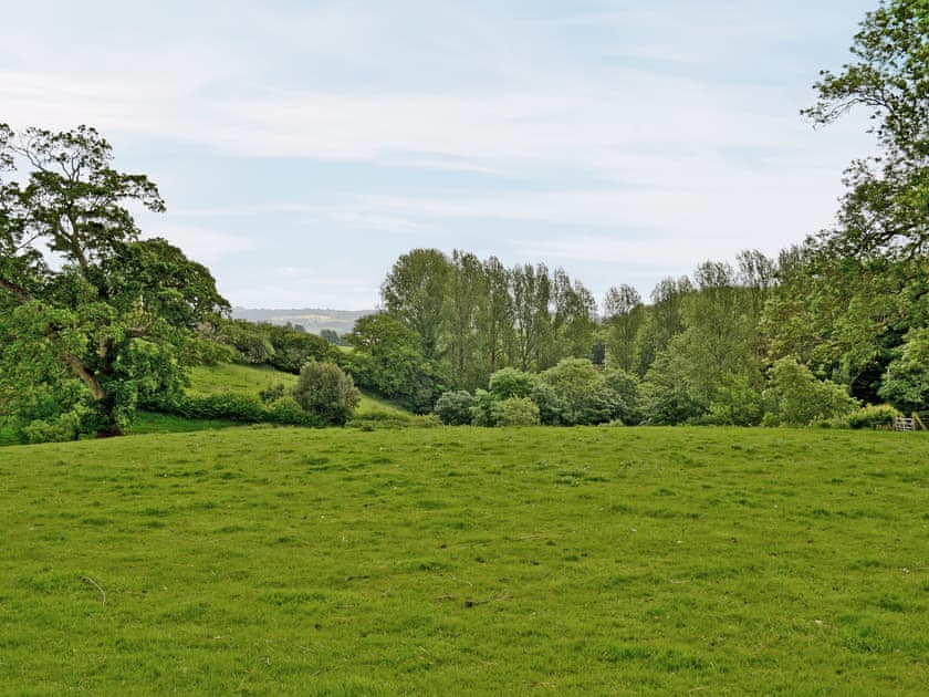 View | Blackberie Cottage, Nr. Beaminster