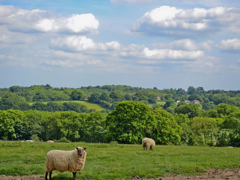 Surrounding area | Chessons Farm - Stable Cottage, Wadhurst, nr. Tunbridge Wells