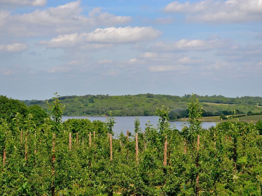 Surrounding area | Chessons Farm - Stable Cottage, Wadhurst, nr. Tunbridge Wells