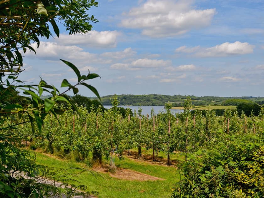 Surrounding area | Chessons Farm - Stable Cottage, Wadhurst, nr. Tunbridge Wells