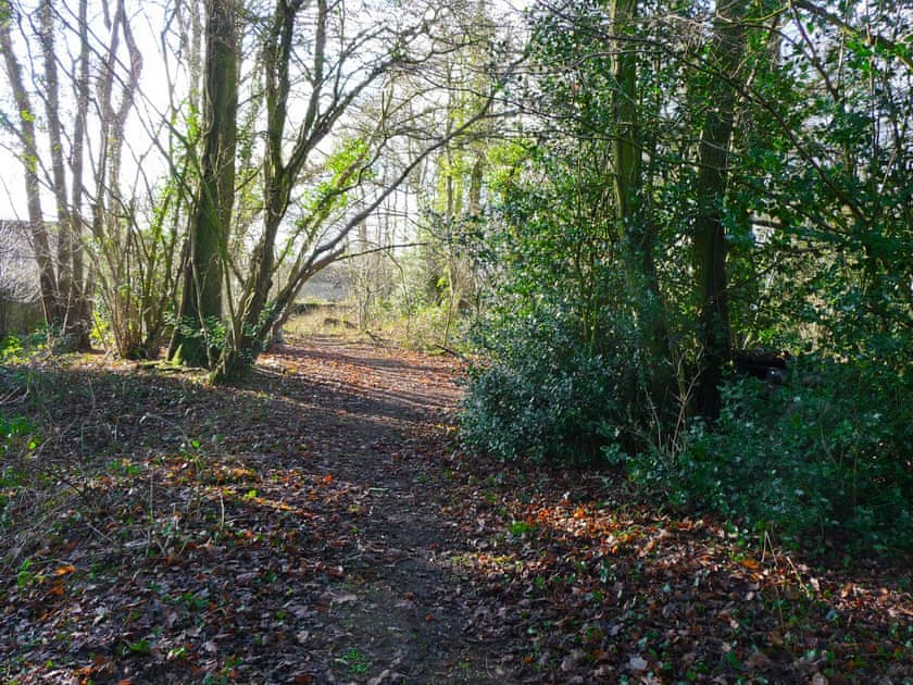 Surrounding area | Wattles, Uplowman, nr. Tiverton