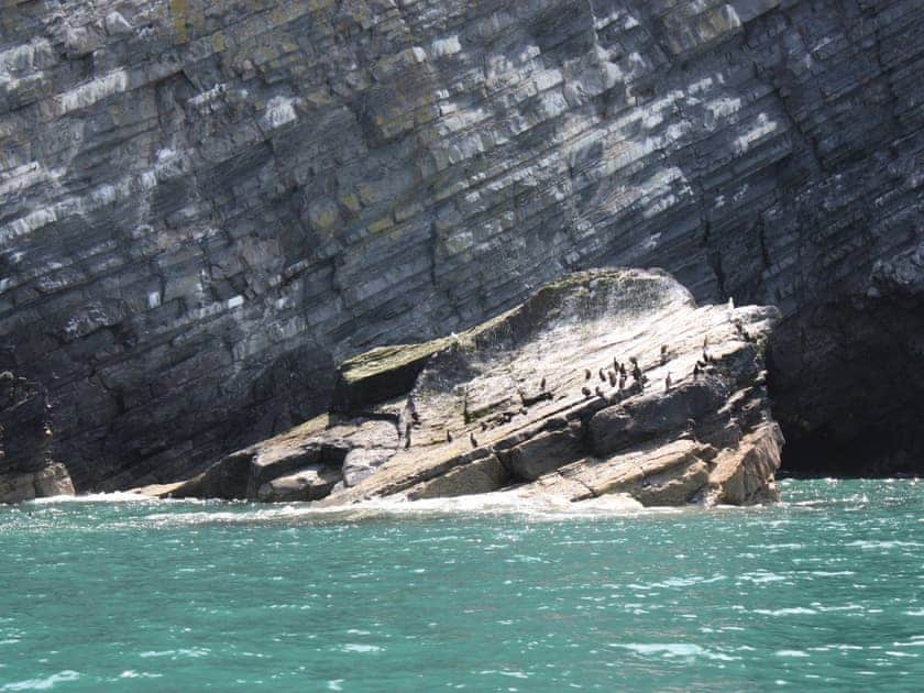 Cei Newydd, Nanternis near New Quay