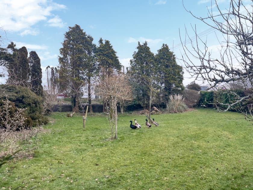 Heron’s Lodge, Llanarthney