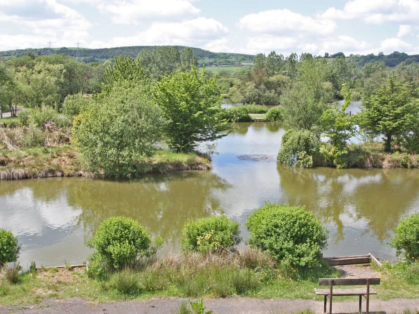 White Springs - Pine Lodge, Pontardulais, Swansea