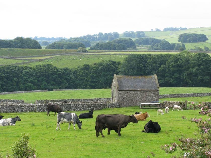 Dawn Cottage, Cold Eaton, Alsop-en-le-Dale