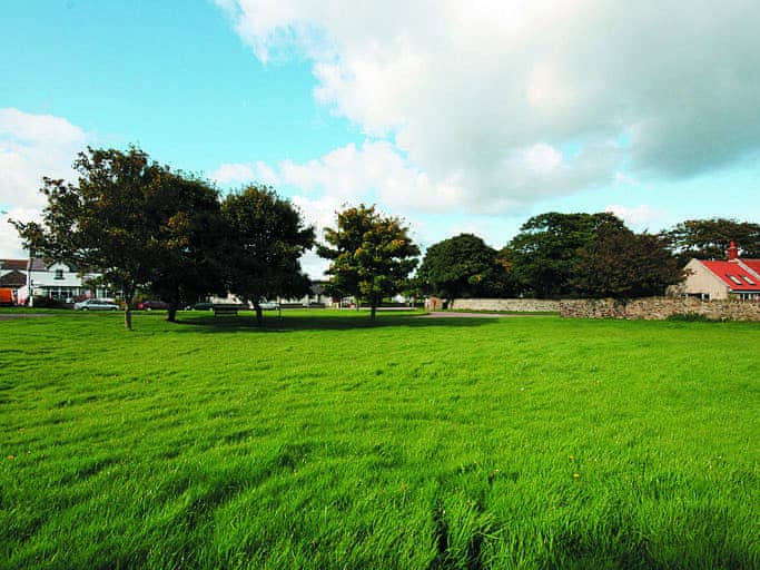 Bickertons Field, Newton by the Sea