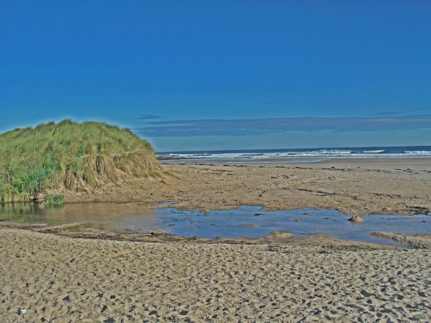 Cloverfield, Bamburgh