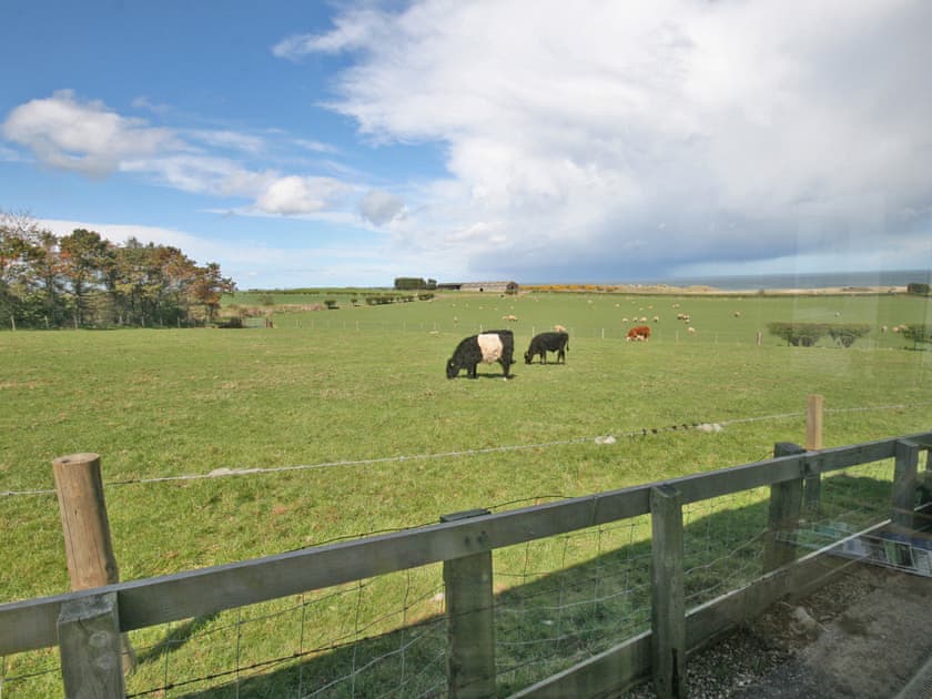 Brackenrigg, Embleton near Craster