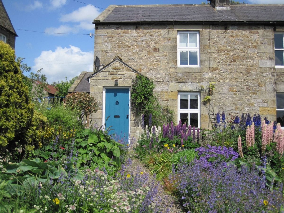 Stargazing in Northumberland | Northumbrian Cottages