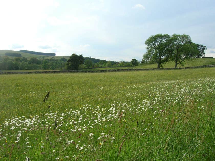 Annie’s Cottage, Greenhaugh near Bellingham