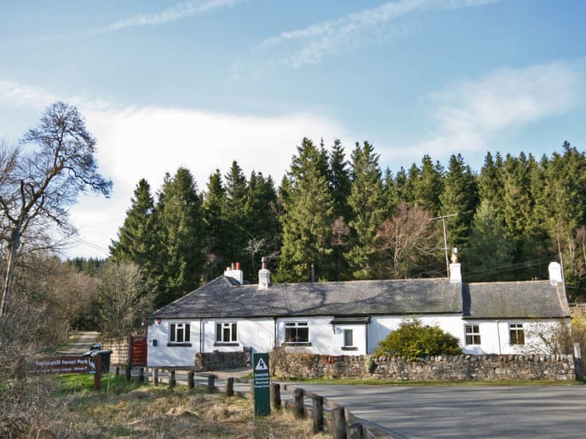 Holiday cottages to rent in Kielder Self Catering Breaks 2019