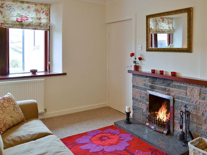 ‘Real’ open-fire in living room | Beuchan Cottage - Beuchan Farm, Keir Mill, Thornhill