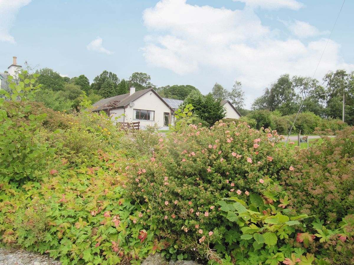 Seangan Lodges & Beech House - Beech House - Image 1