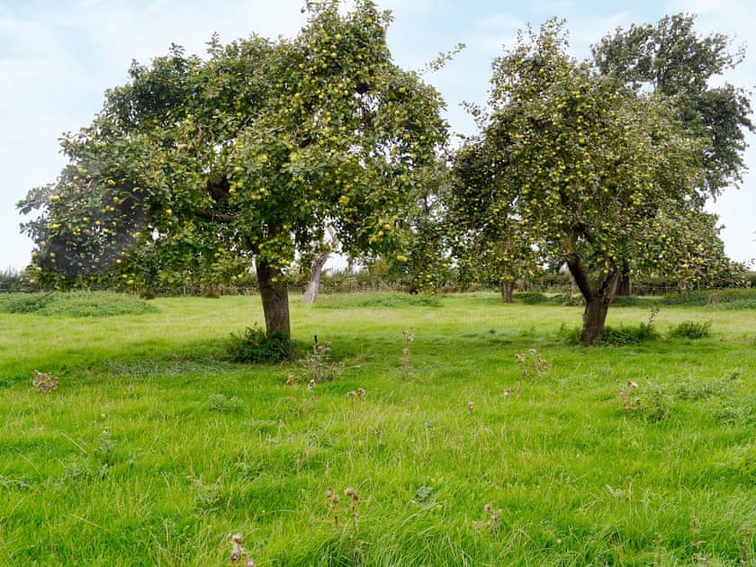 Garden and grounds | Ostler’s Cottage, Westborough, nr. Newark