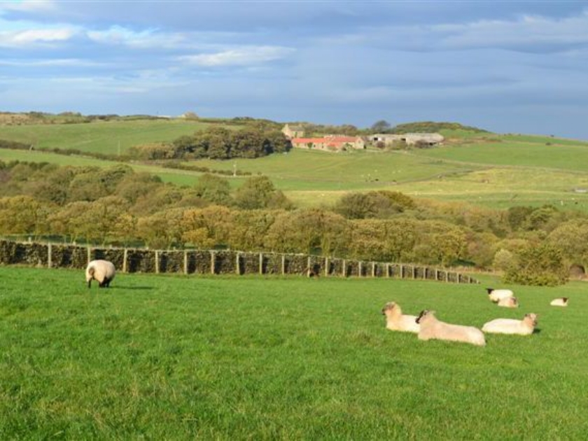 Whitehall Farm Cottages - Badger’s Barn, Staintondale near Scarborough