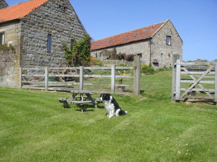 Whitehall Farm Cottages - Badger’s Barn, Staintondale near Scarborough