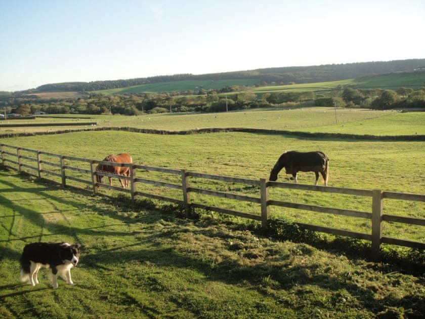 Whitehall Farm Cottages - Badger’s Barn, Staintondale near Scarborough