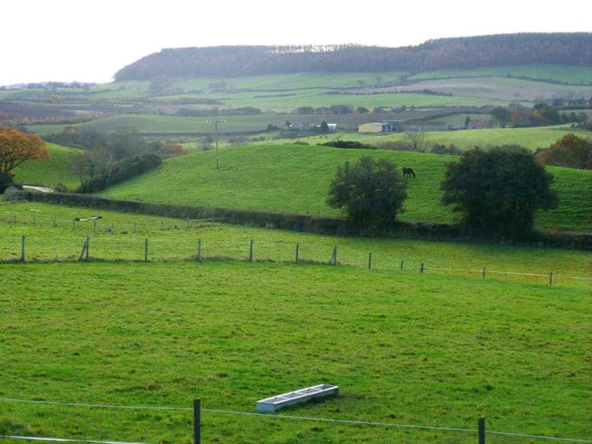 The Old Granary Cottage, Harwood Dale