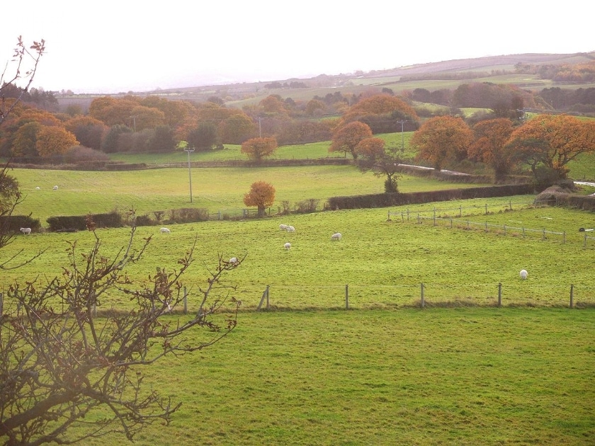 The Old Granary Cottage, Harwood Dale
