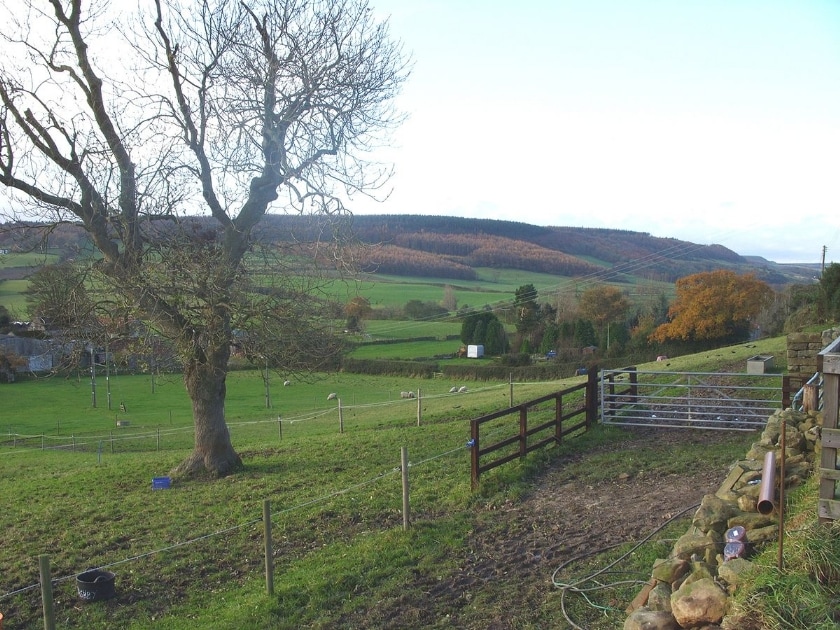 The Old Granary Cottage, Harwood Dale