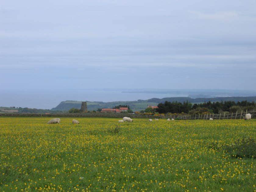 Mill View Cottage, Ravenscar near Robin Hoods Bay