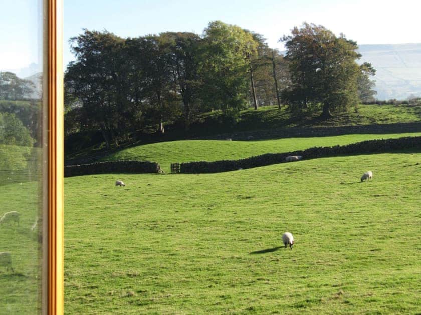 View | Hollyhock Cottage, Thorns near Hawes