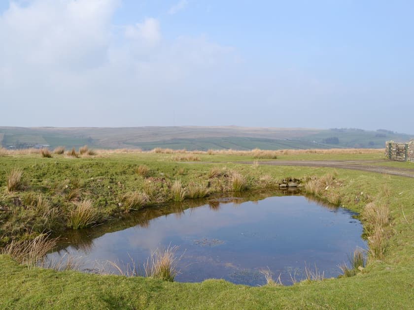View | Greenrigg Cottage, near Caldbeck