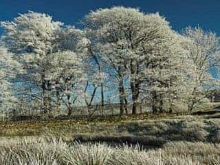Sandbed Cottage, Fell End Near Sedbergh