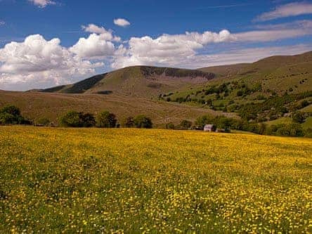 Sandbed Cottage, Fell End Near Sedbergh
