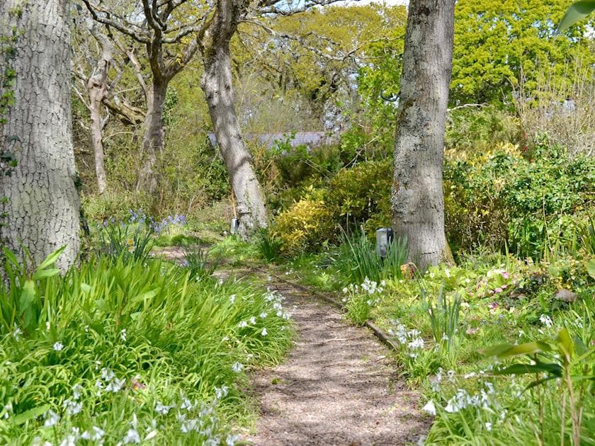 Gravelled footpath through surrounding trees | Oak Tree Cottage - Grove Cottages, Instow, near Barnstaple