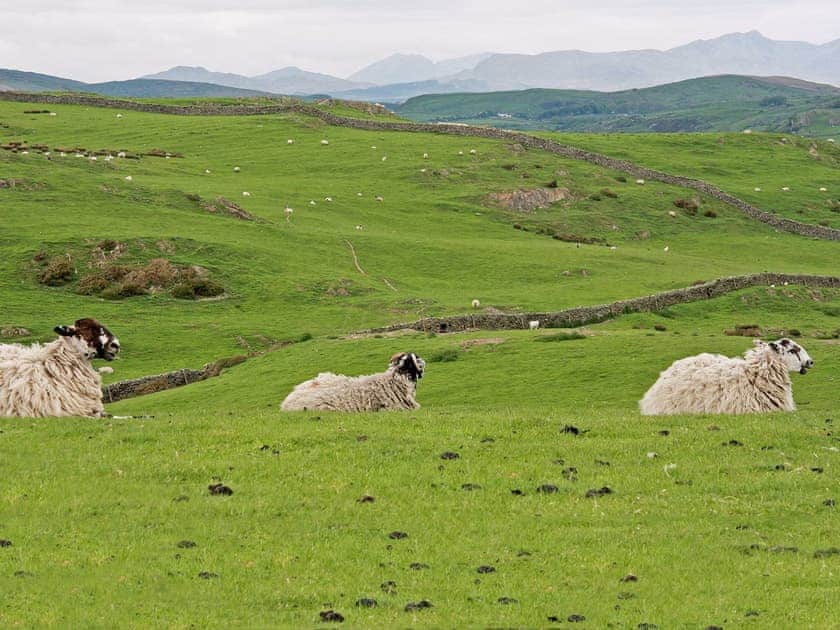Hills near Ulverston | Combe Cairn, Millom