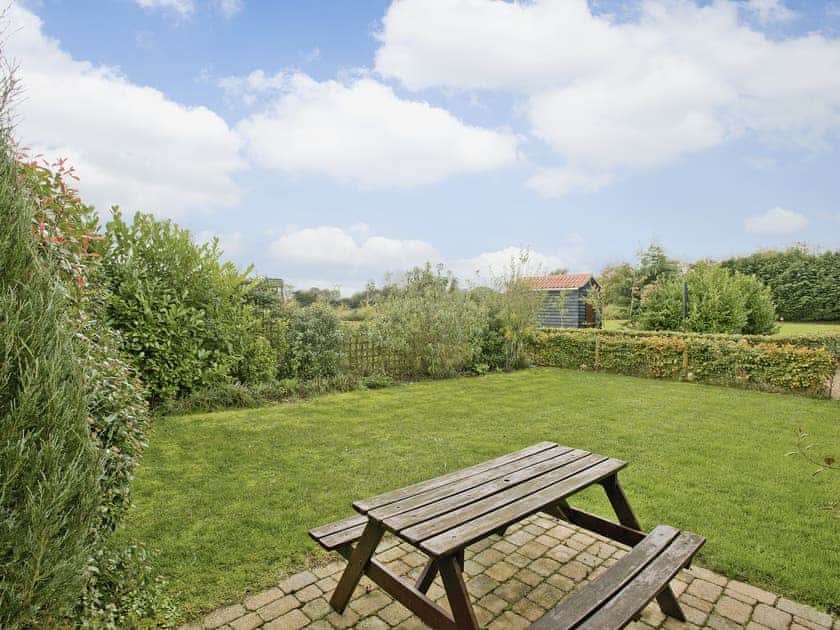 Garden | Oregano, Catfield
