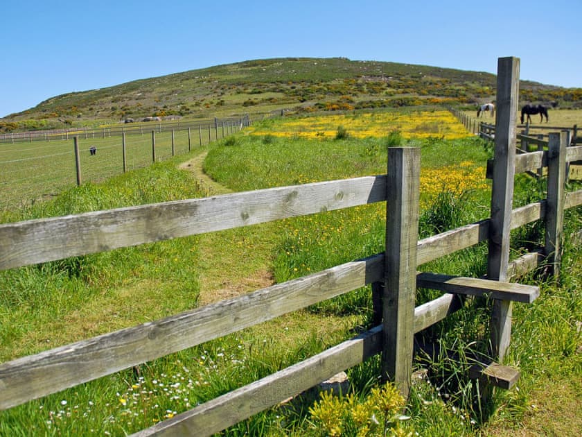 Robin’s Nest Field | Robin’s Nest, Kerrow Farm, Sennen