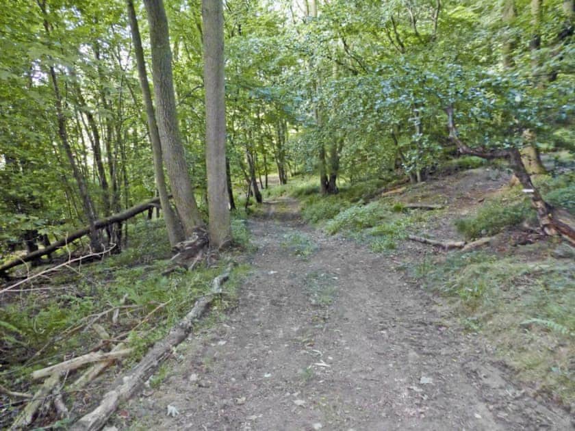 Woodland walk | Newbiggin Hall Cottages - Acorn Cottage, Aislaby near Grosmont and Whitby